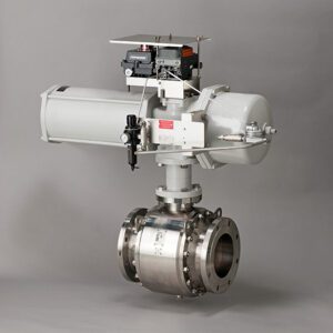 Trunnion mounted ball valves