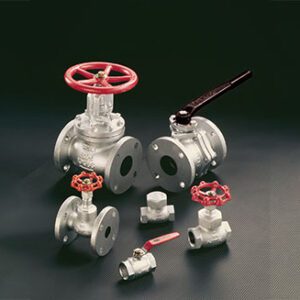 Kitz Ductile valve