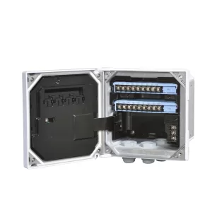 2-Wire Dual Channel Transmitter/Analyzer FLXA21