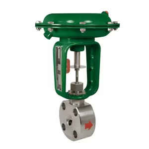 Baumann™ 24000F Wafer Body Control Valve