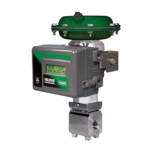 Baumann™ 81000 Mikroseal Control Valve