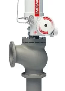 Erosion Resistant Control Valves - Survivor