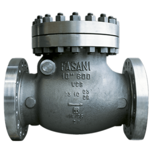 Fasani Bolted Bonnet Check Valves