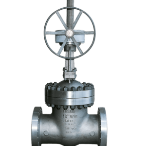 Fasani Bolted Bonnet Gate Valves