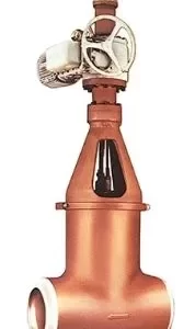 Flexible Wedge Gate Valves - Flex Wedge