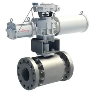 Full Port Ball Valves - TMCBV