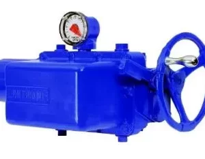 Intrusive Multi-Turn Actuators - SMB