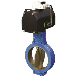 Keystone F634 Slurry Control Valve