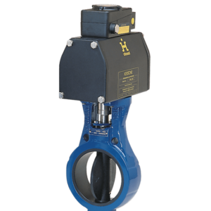 Keystone Figure 637 Slurry Control Valve