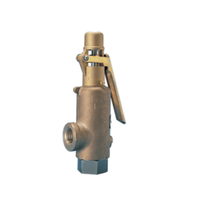 Kunkle Valve Models 189 363 389 Safety Relief Valves