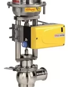 Linear Globe Angle Control Valves - CleanFlow.