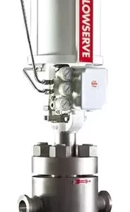 Linear Globe Angle Control Valves - Mark Two™