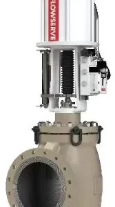 Linear Globe - Compressor Anti-Surge Valve