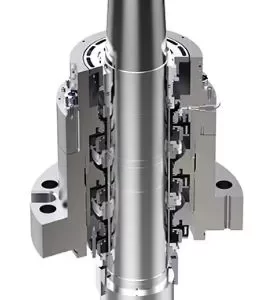 Nuclear Primary Pump Seals - N-Seals