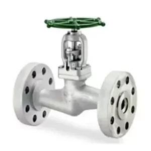 Piston (Lift) Check Valves - Bolted Bonnet