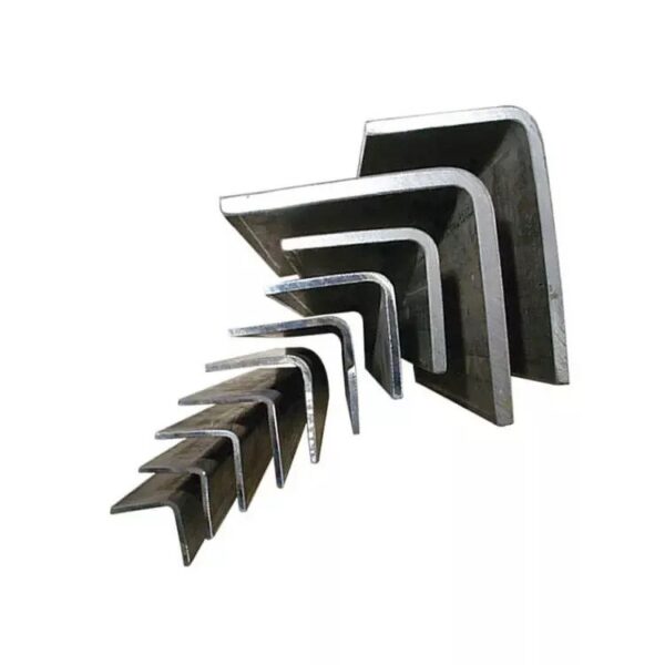 Rigang 2205 Stainless Angle Steel
