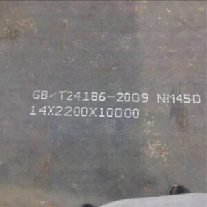 Rigang NM450 wear plate
