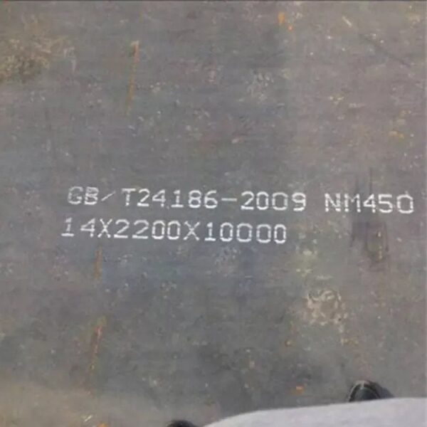 Rigang NM450 wear plate