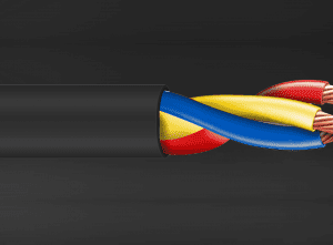 Tempsen PP-301 Power Cable