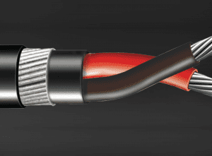 Tempsen PP-401 Power Cable