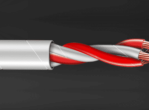 Tempsen RT-101 RTD Cable